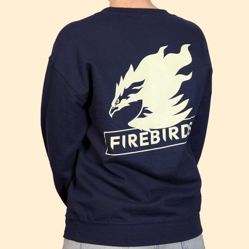 OG Firebirds Sweater -Navy - Model Back